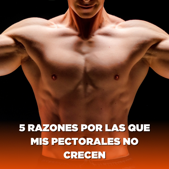 5 razones por las que mis pectorales no crecen